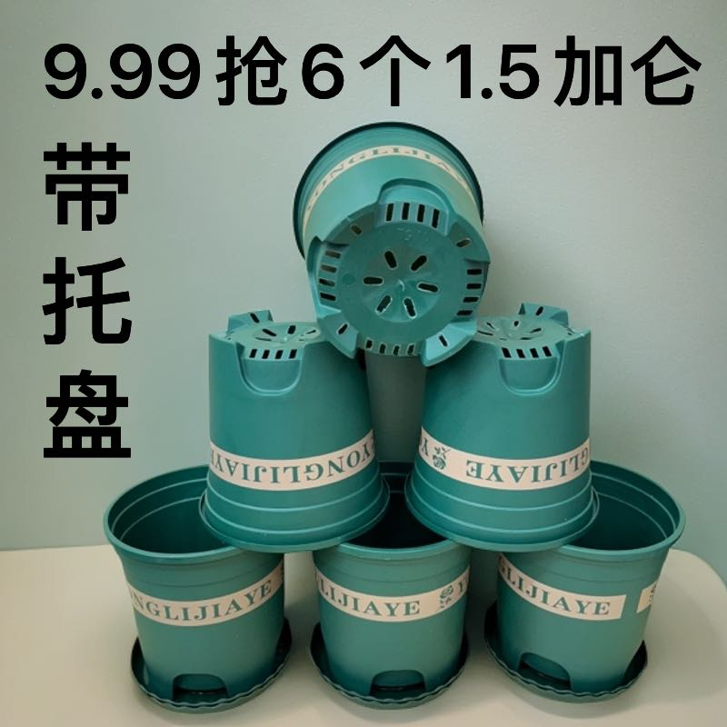 6个（口径19高19左右）1.5控根加仑花盆带托盘