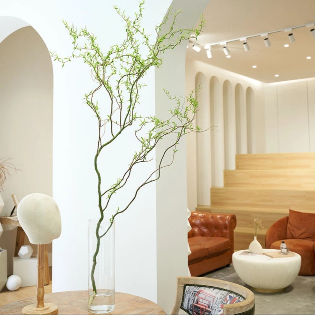 【龙柳】春季家居高端绿植雪柳鲜枝客厅水培植物花卉好养室内四季