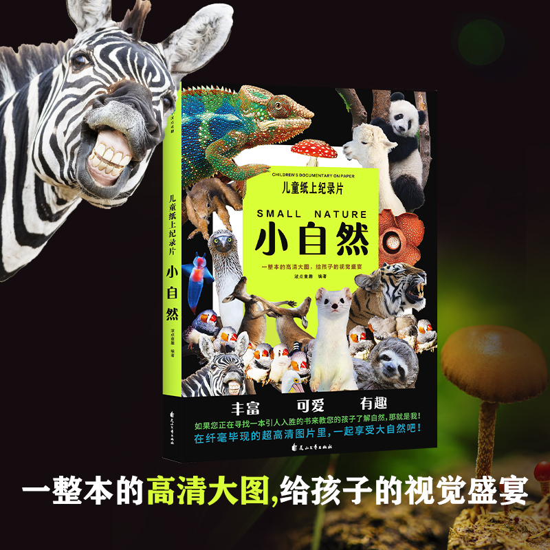 儿童纸上纪录片:小自然 充满童趣的自然主题 高清照片 视觉盛宴