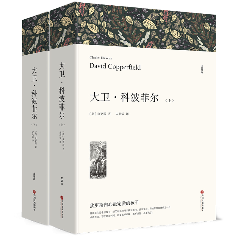 博库 大卫·科波菲尔（上下册） 书籍 正版图书推荐 中国文联出版