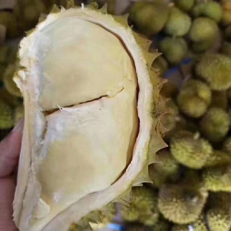 金枕鲜果带壳一整个发货新鲜应季水果2-7斤包邮坏果包赔苹果专属