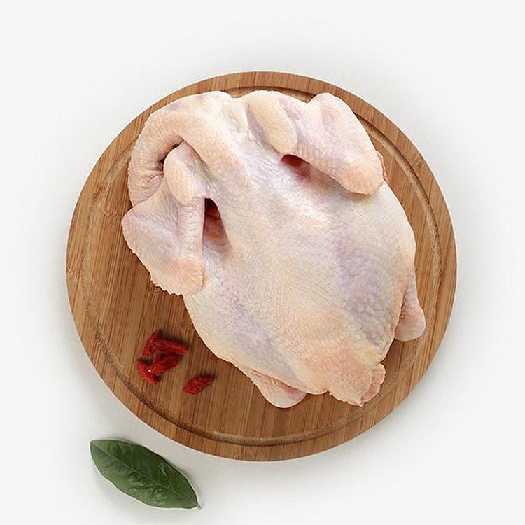 正宗奉家山散养土鸡