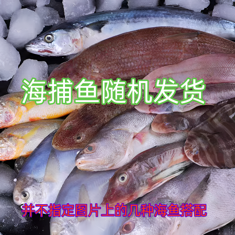 宝哥野生海埔【小杂鱼6-8条/斤】4斤 鱼体有粘液不是坏的介意勿拍