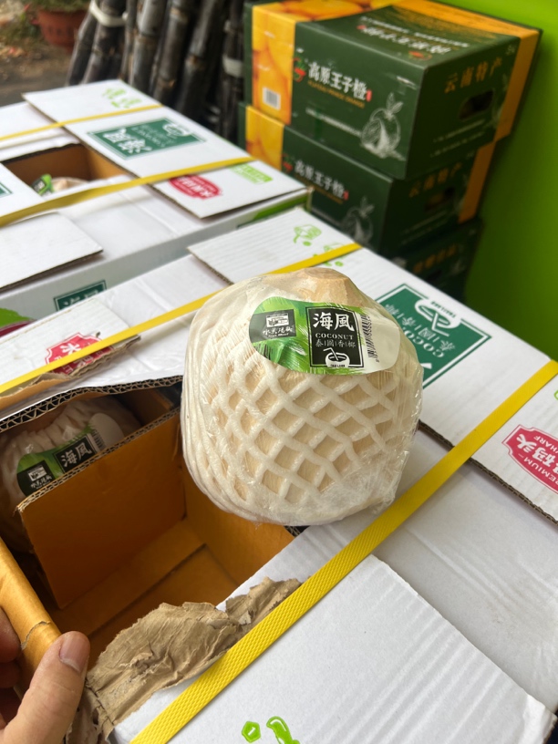 【配送到家】椰青一个  大果