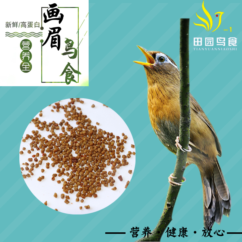 精品画眉专用营养日用食养身壮膘提性益生元增色颗粒松散易消化