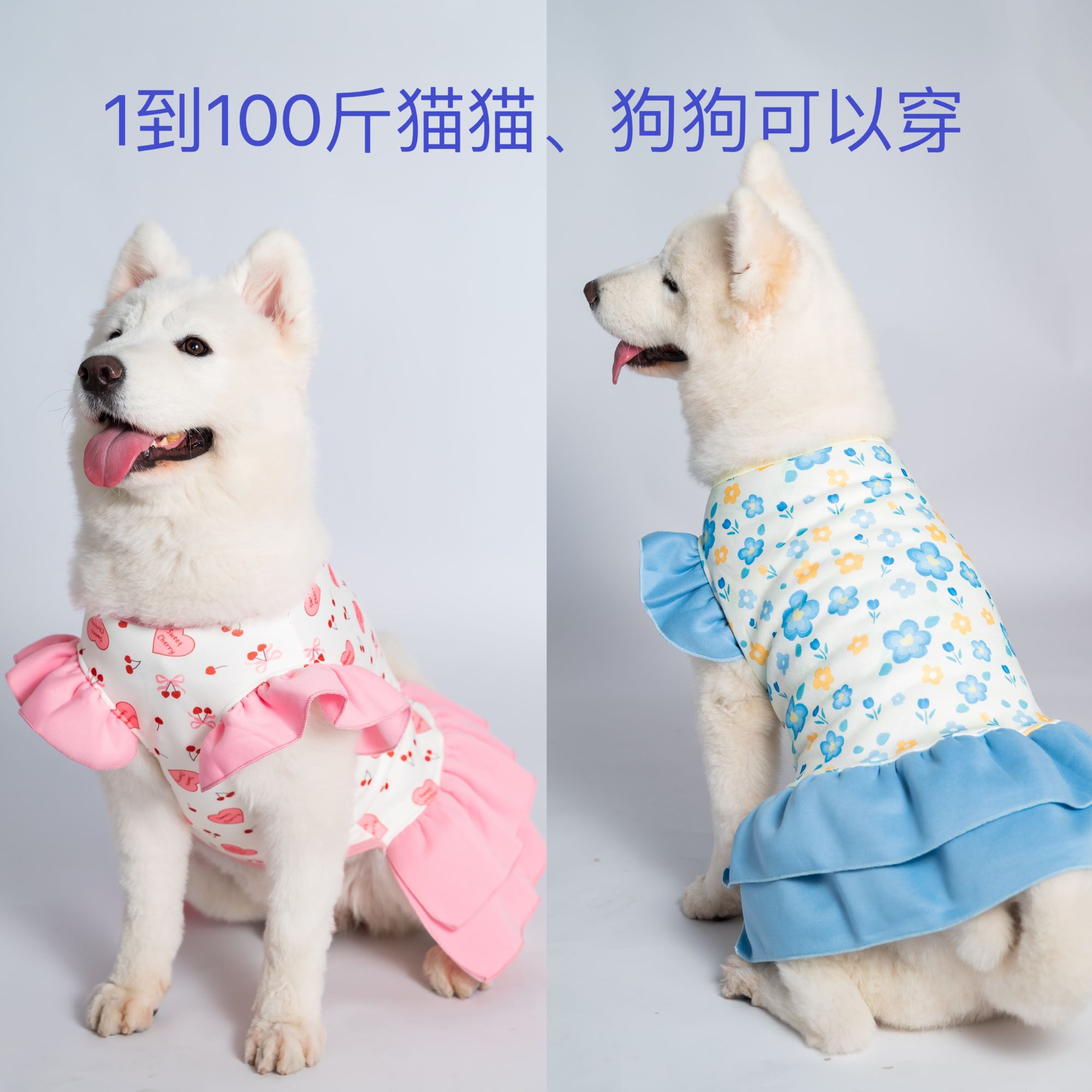 超萌好物秋冬宠物猫咪狗狗凉衣衣服新款卫衣裙子中大型犬狗服装