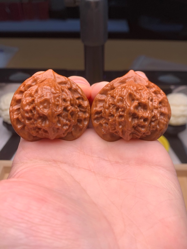 老树无药大耳朵图图