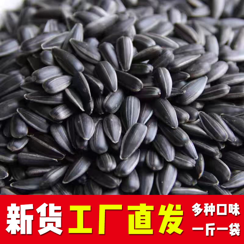 净重黑珍珠瓜子葵花籽现炒原味油葵小油毛嗑装内蒙新货零食向日葵