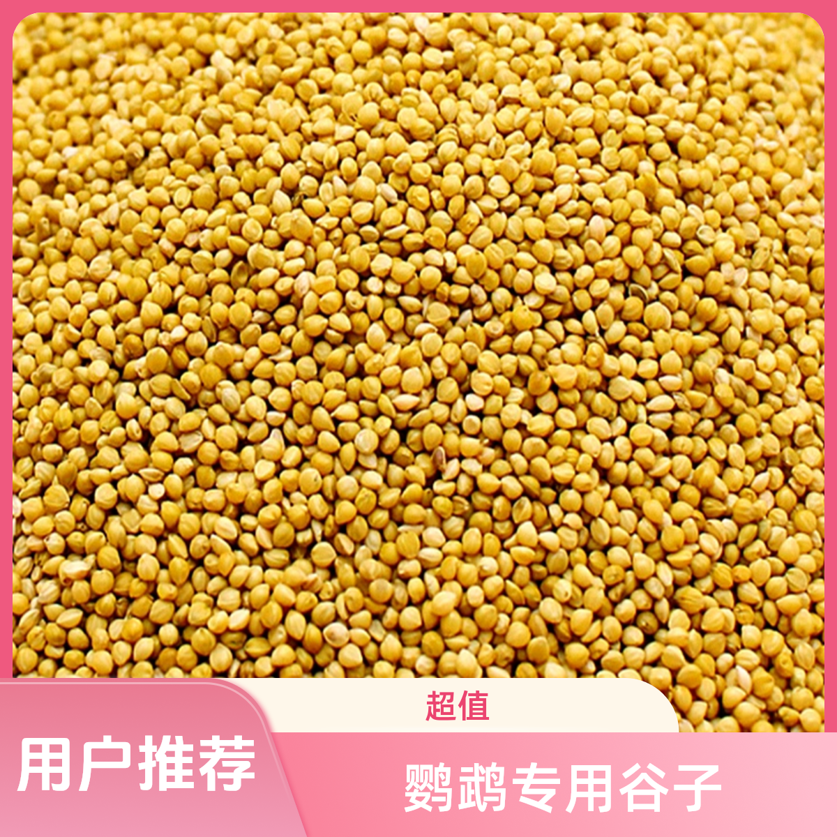 优质带壳黄谷子干净鸟粮谷子小米鹦鹉食粮鹦鹉牡丹中小型