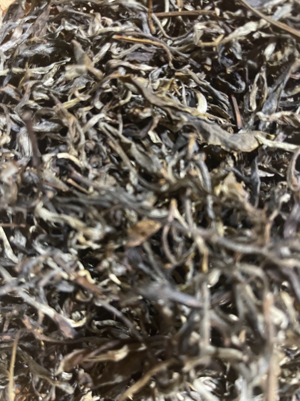 云南普洱生茶布朗山