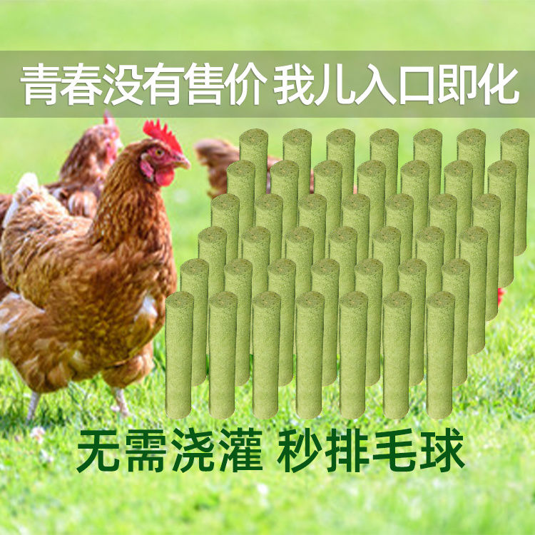 猫犬猫草棒猫咪零食磨牙棒即食猫清洁牙齿猫咪洁牙棒猫狗零食清新