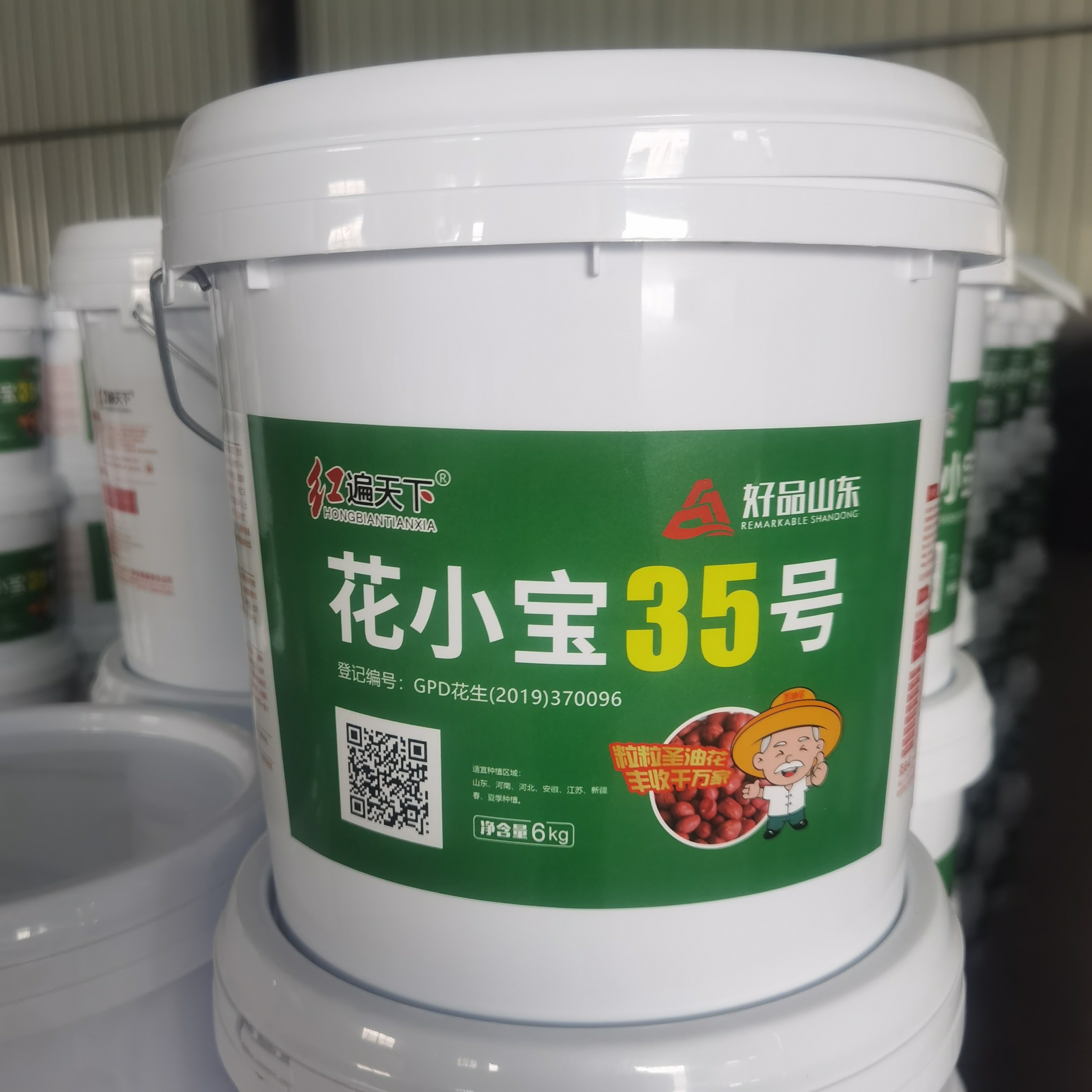 高产抗病包衣花生种子