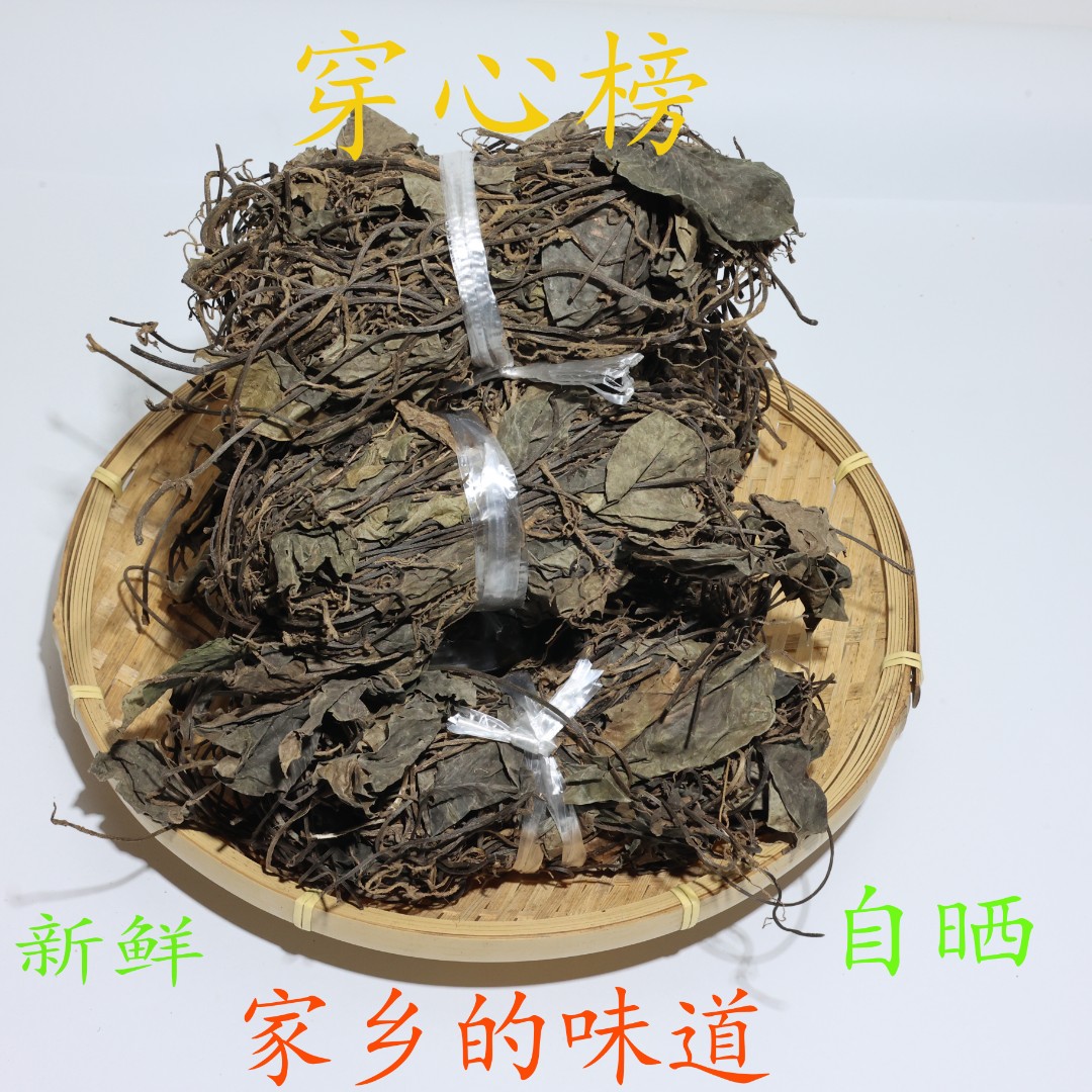 农村穿心榜当季大山野货新鲜干品煲汤煮100克/250克根茎
