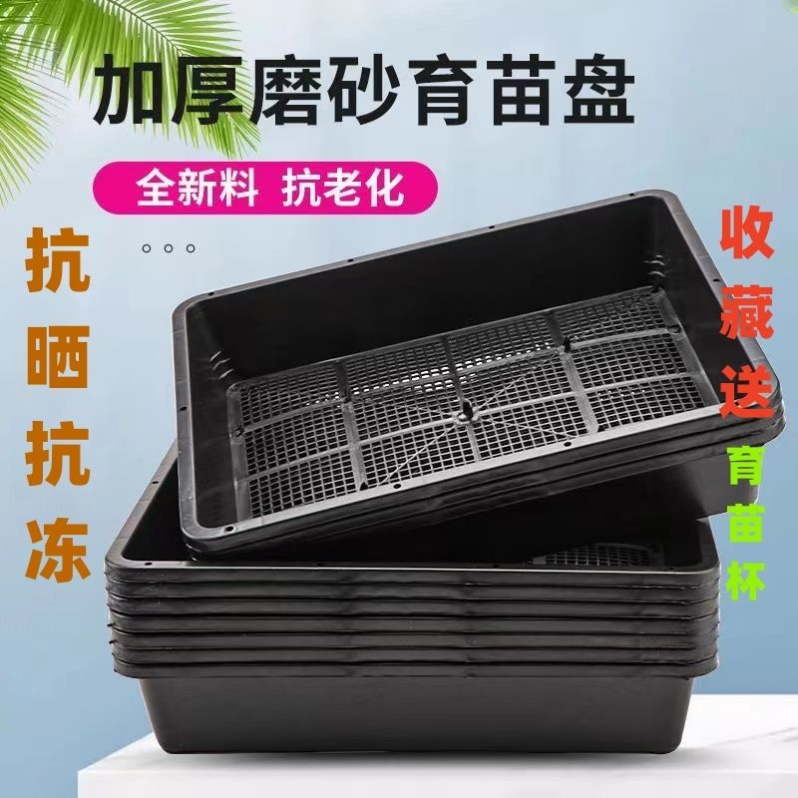 运输专用笼子带九斤红土鸡5只（一斤）