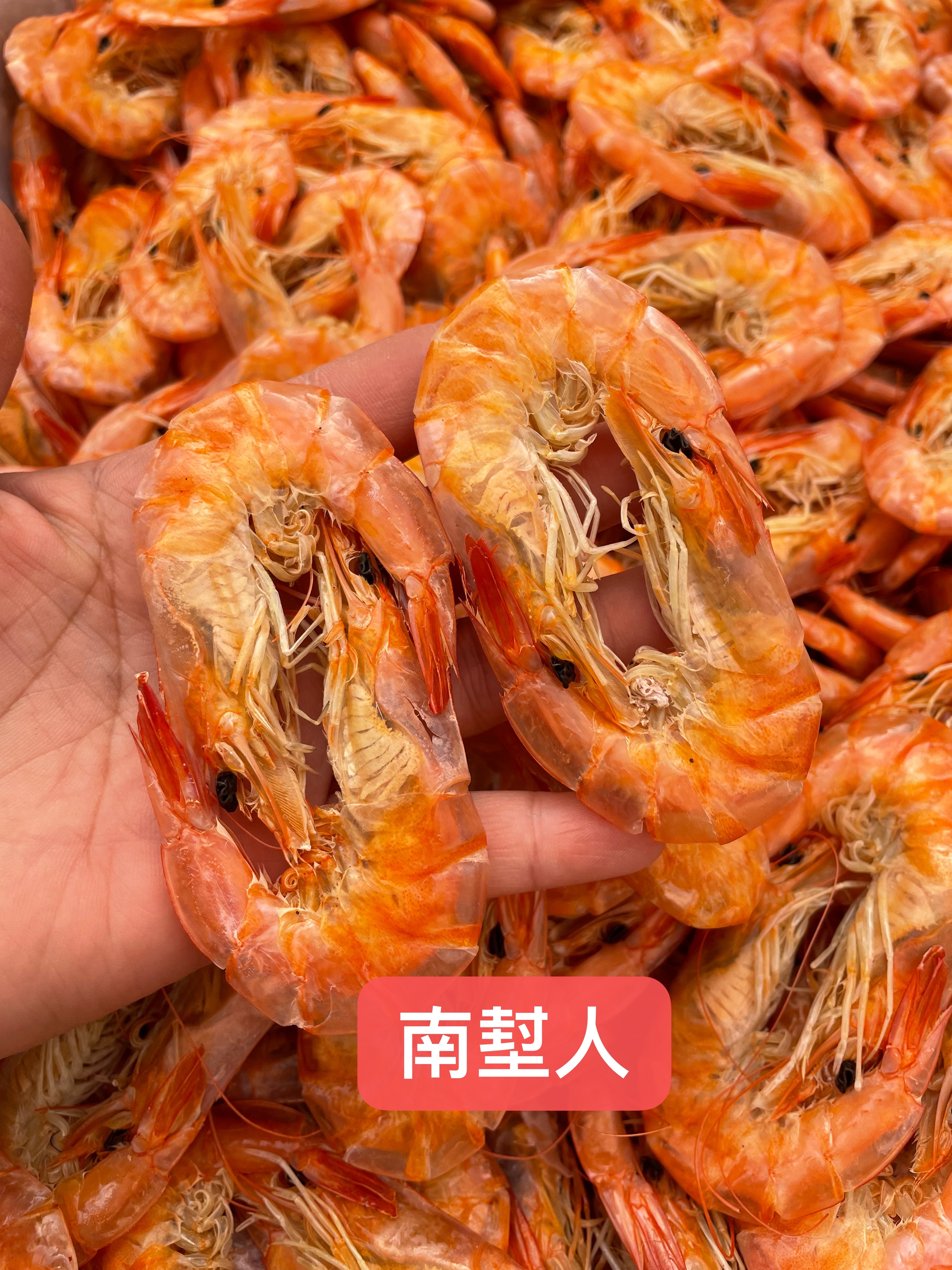 国产山东渤海湾东方对虾