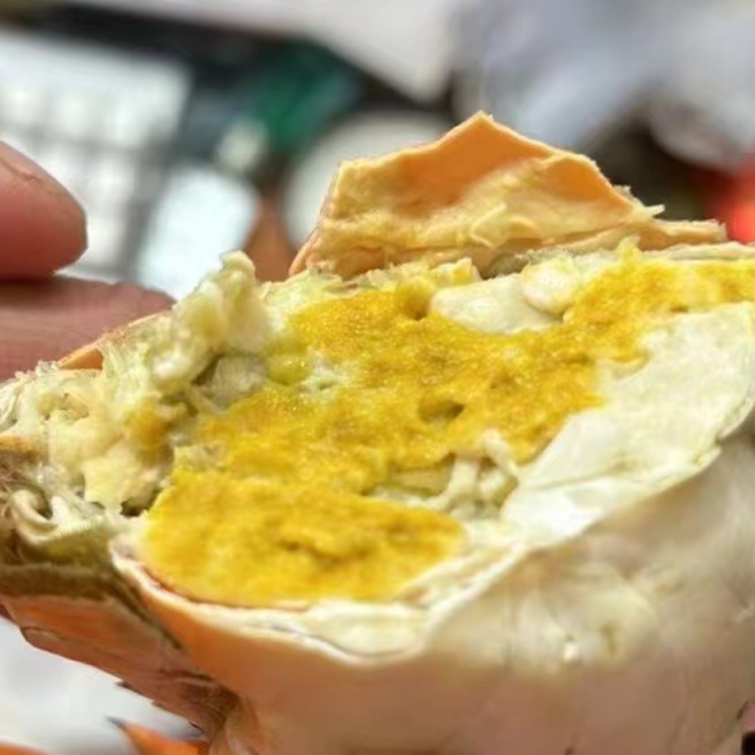 【福利款】三门青蟹肥美肉蟹腌仔个大饱满经济实惠包活顺丰包邮