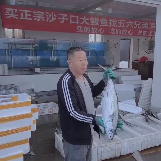 沙子口发货  新鲜海捕野生大鲅鱼 肉质肥美【多种规格】