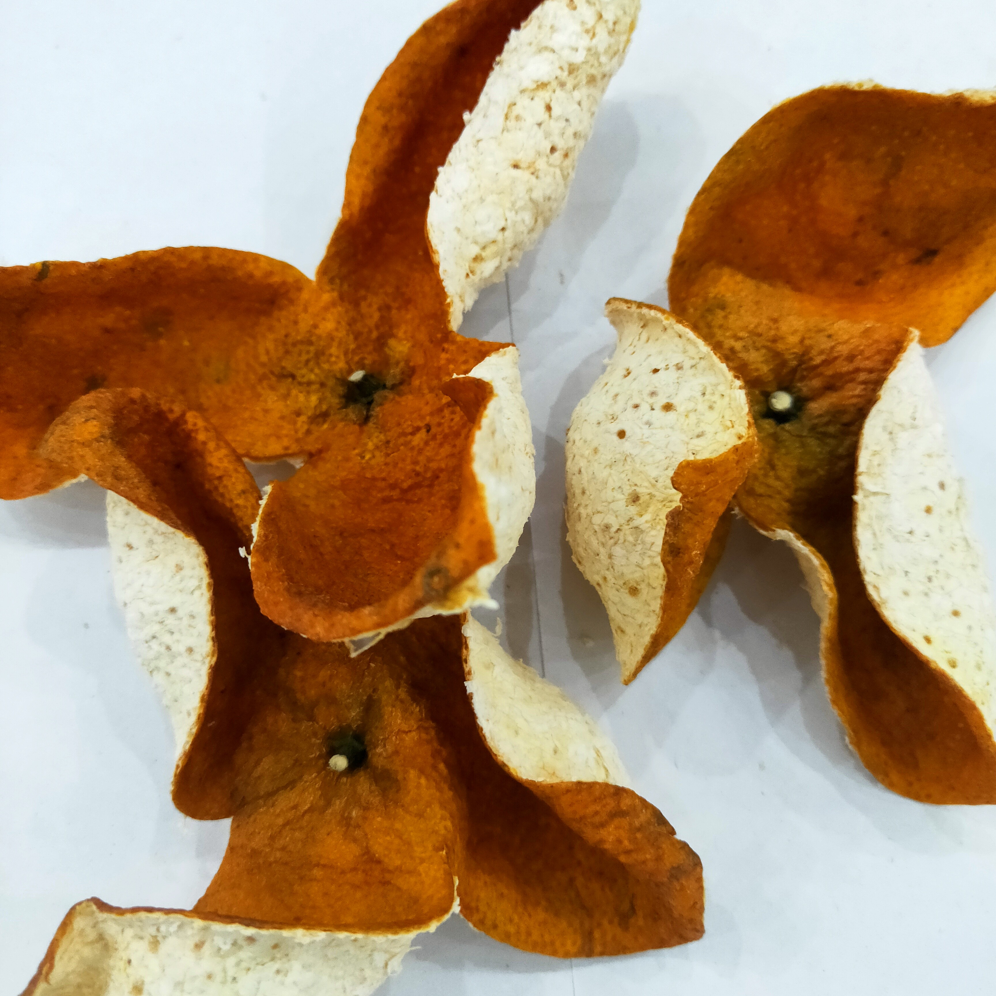 【2024精品大红皮】正宗广西浦北陈皮大红皮特产收藏佳品干净皮薄