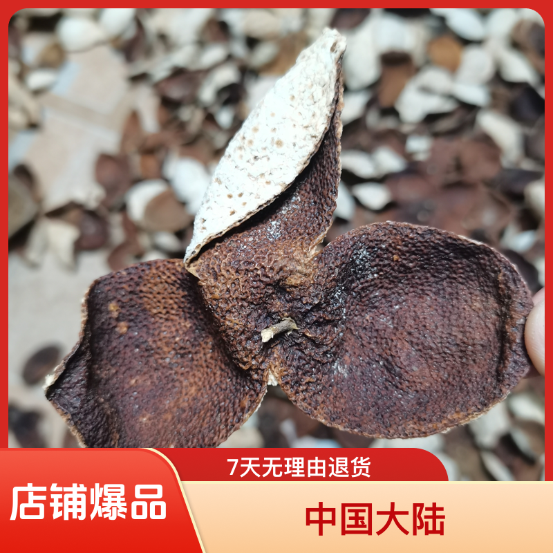 【老年份大红皮】浦北茶枝柑陈皮大红皮自家果园生晒陈皮