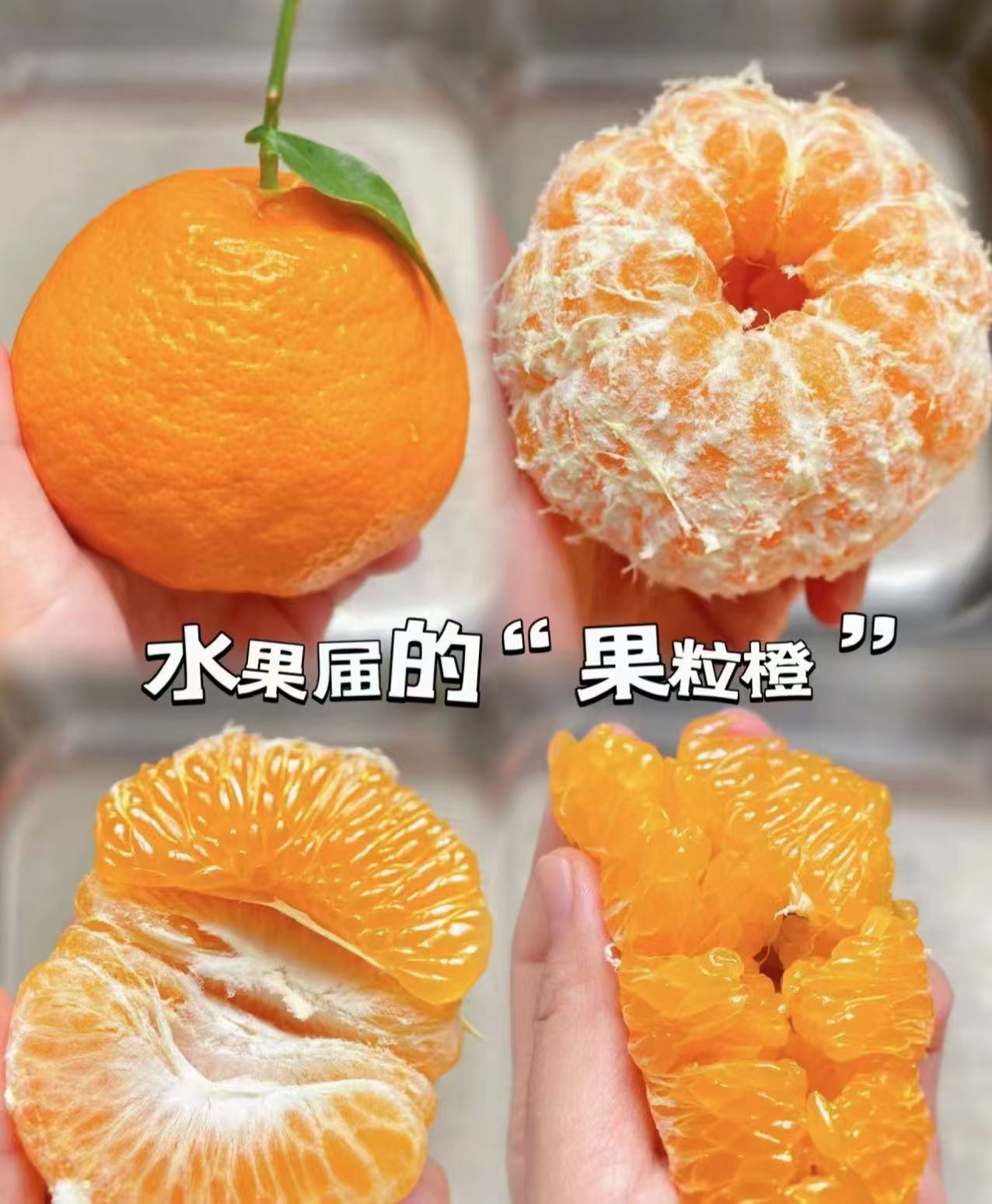 春见粑粑柑纯甜口【好东西】