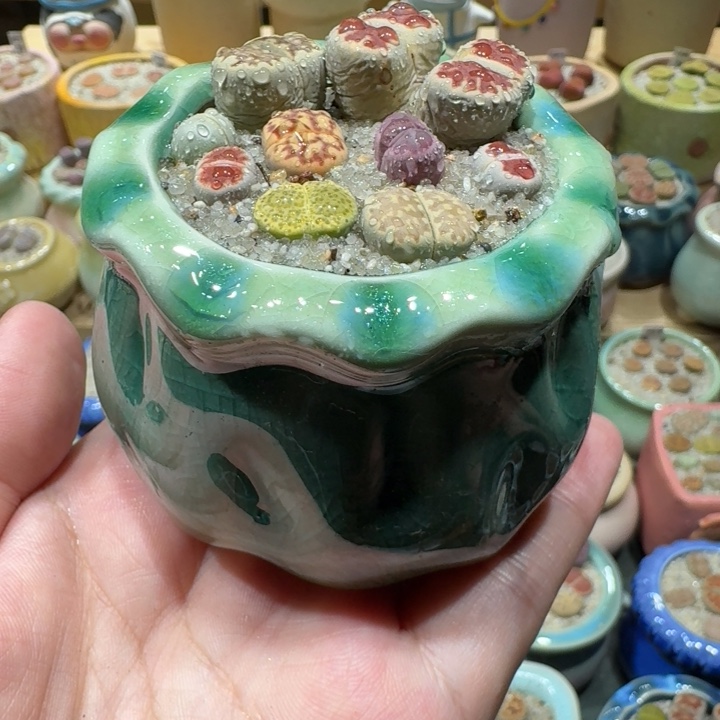红陶20CM（含）-50CM（不含）蘑菇-027