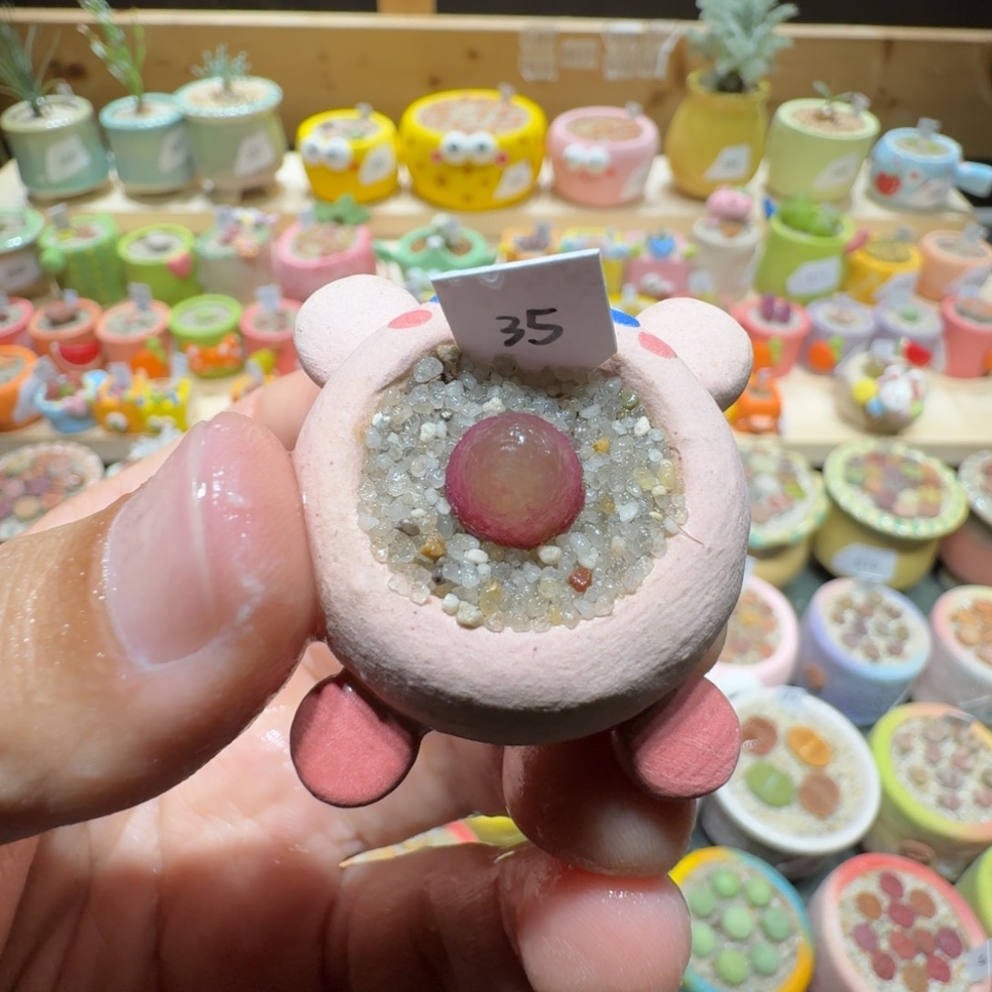 红陶蘑菇705灯泡