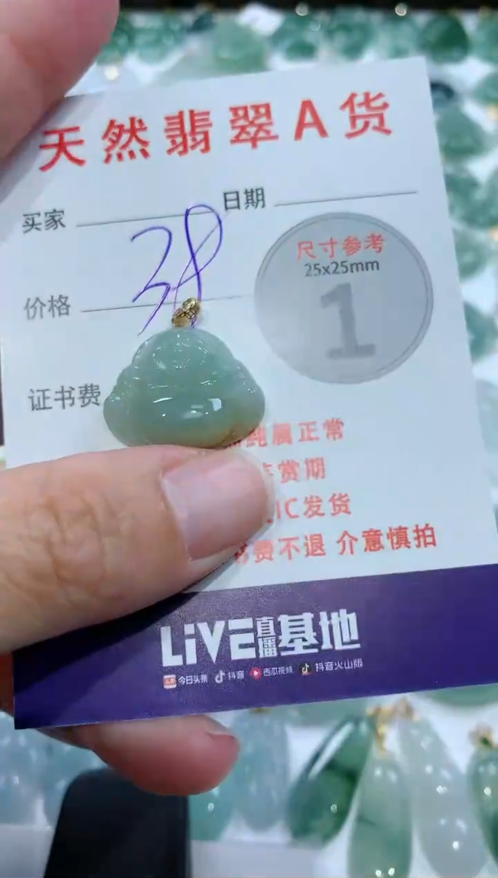 【闪购商品】翡翠颈饰未镶嵌1