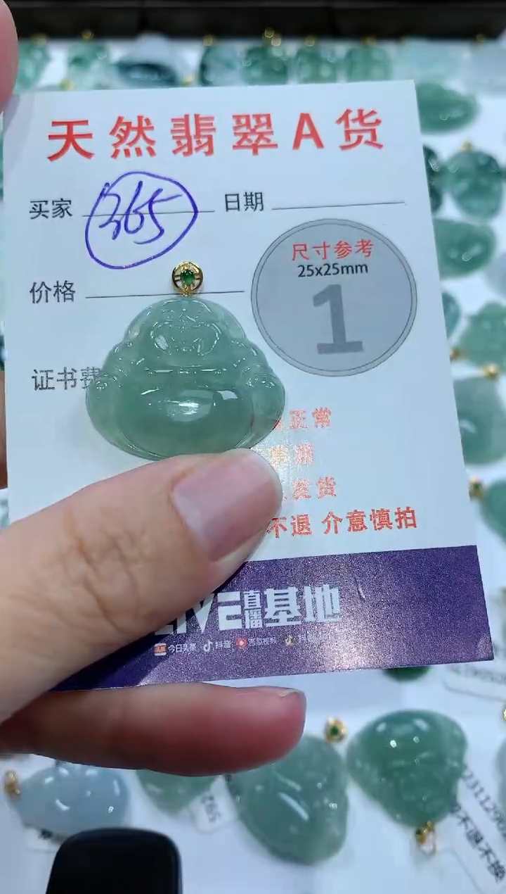 【闪购商品】翡翠颈饰未镶嵌1