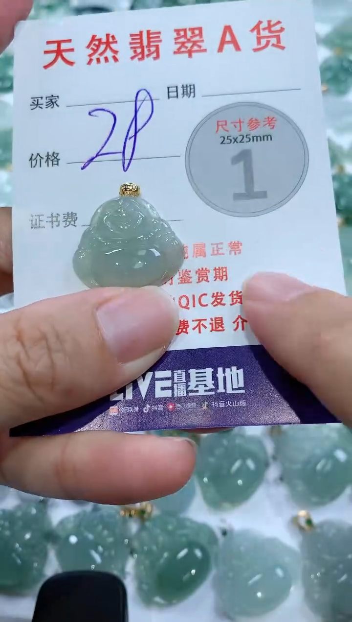 【闪购商品】翡翠颈饰未镶嵌1