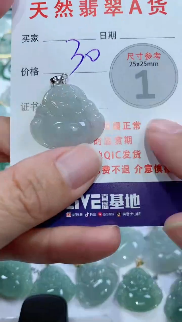 【闪购商品】翡翠颈饰未镶嵌1