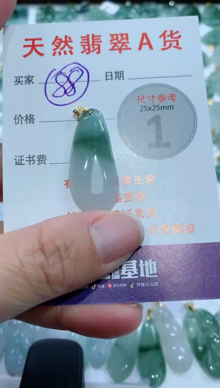【闪购商品】翡翠颈饰未镶嵌1