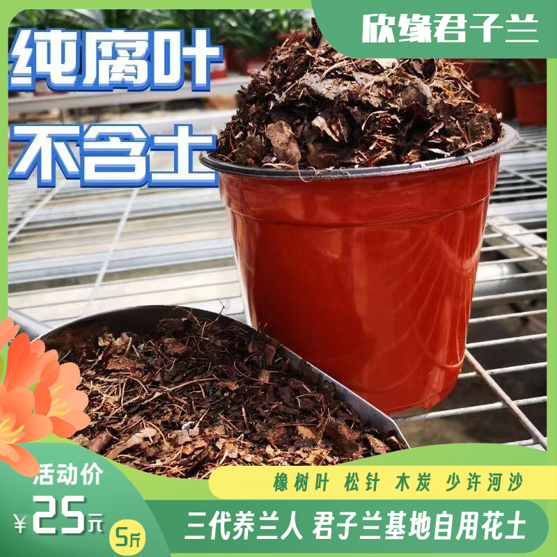 君子兰通用腐叶土橡树叶配方有机营养土兰苑使用 促生根 不烂根