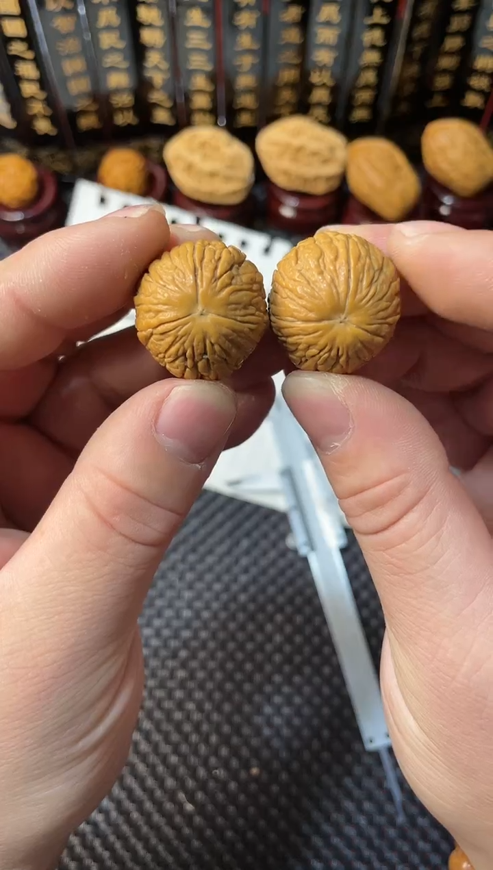 【闪购商品】桃核吊坠龙哥