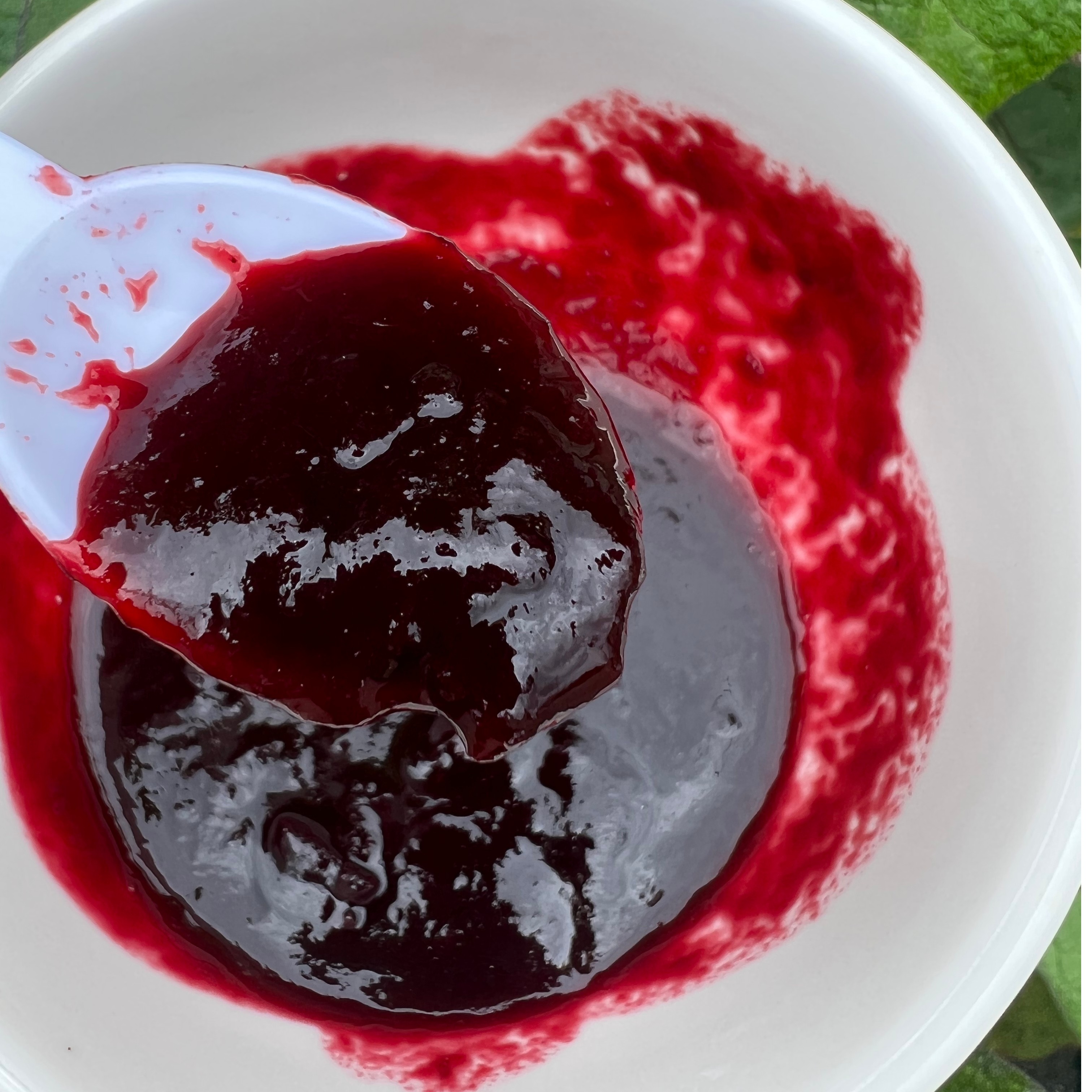 滇嫂胭脂果酱280g 云南特产野生鬼眼睛果膏酸酸甜甜九年果 即食