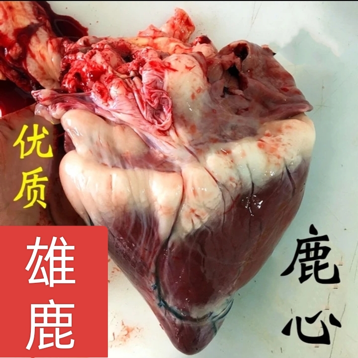 东北鹿场直供梅花鹿心