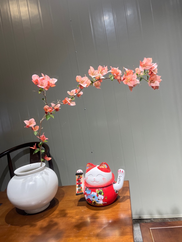 三角梅直播一物一拍黑龙江吉林花友专拍链接