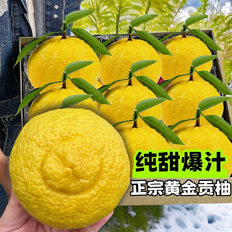 正宗湖南怀化洪江岩垅黄金贡柚柑橘象山青蜜橘过年年会送礼水果