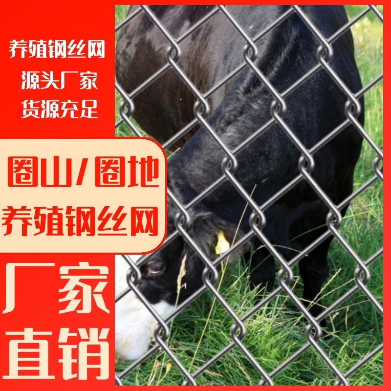 热镀锌勾花铁丝围栏防锈养殖钢丝网鸡鸭牛羊猪狗隔离防护种植圈地
