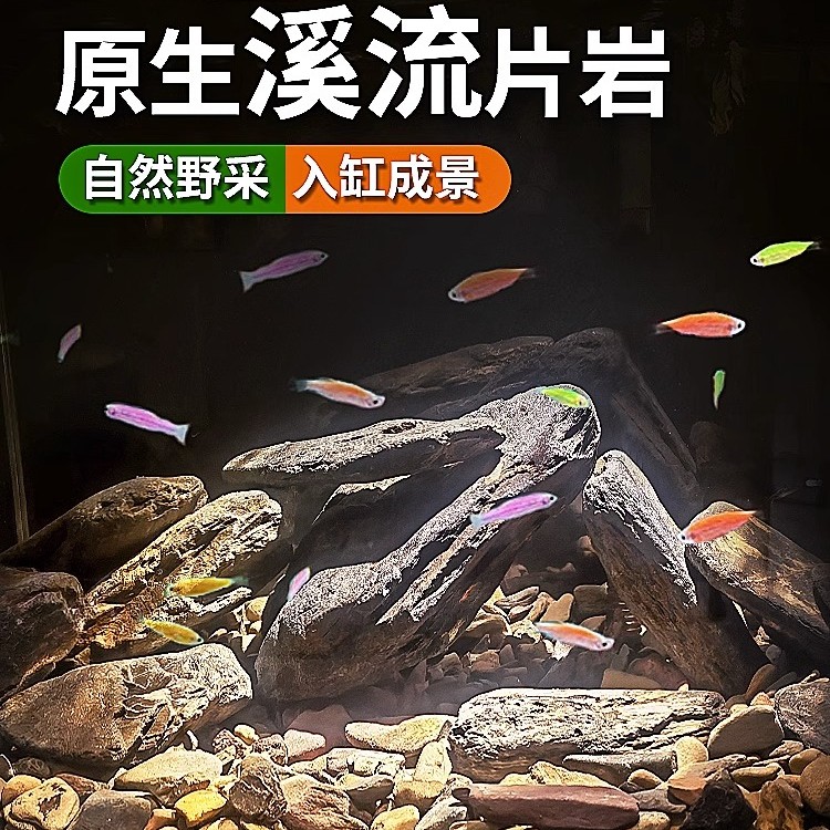南美溪流石乌龟缸造景片石原生鱼缸装饰溪流缸岩石晒台原生溪流缸