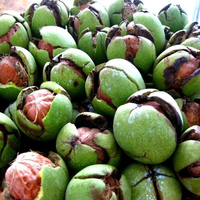 【下单现剥现发】2023年新鲜核桃湿核桃去青皮生核桃薄皮嫩新黑桃