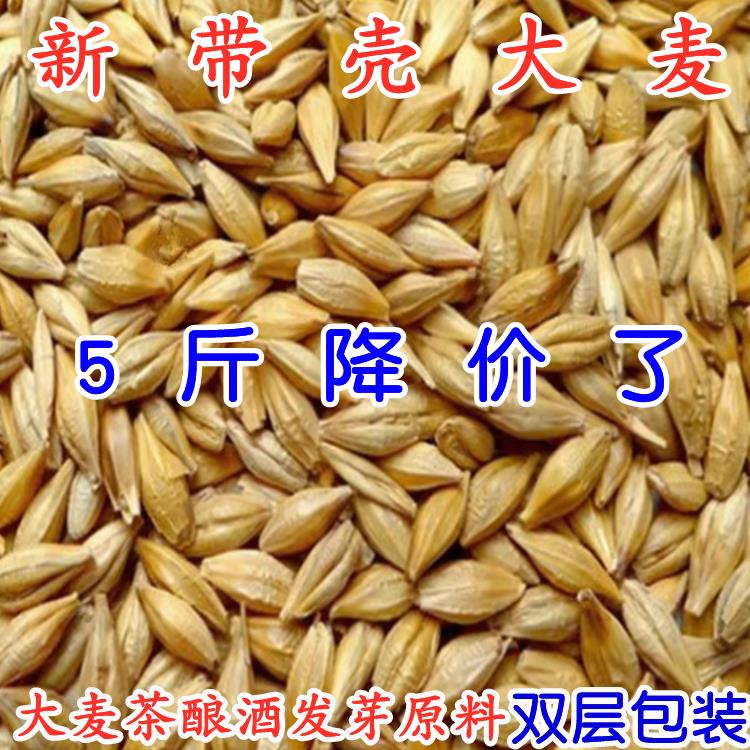 大麦 农家带壳大麦 发芽大麦 2500g酿酒麦芽糖 可做大麦茶