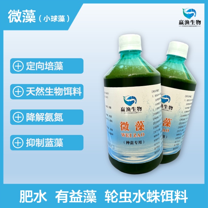赢渔发酵小球藻有益藻藻种水产养殖肥水
