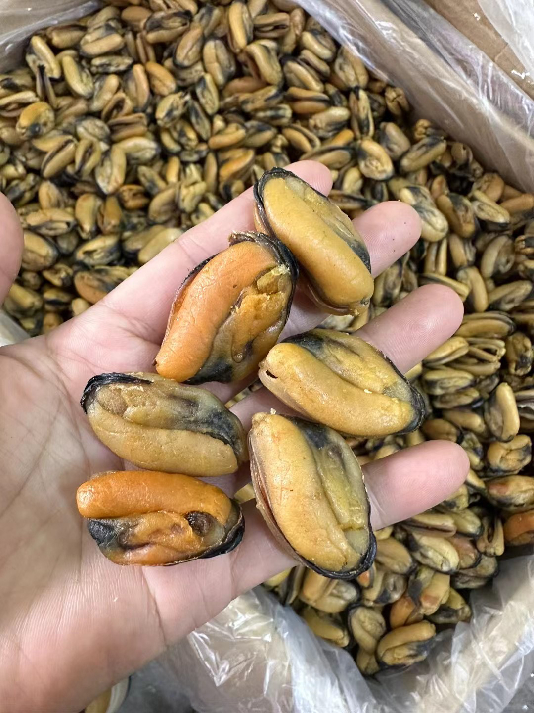 特产大淡菜青口肉海螺肉250g/500g