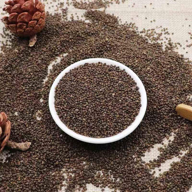 《沙苑子》精选道地本草.陕西潼关县