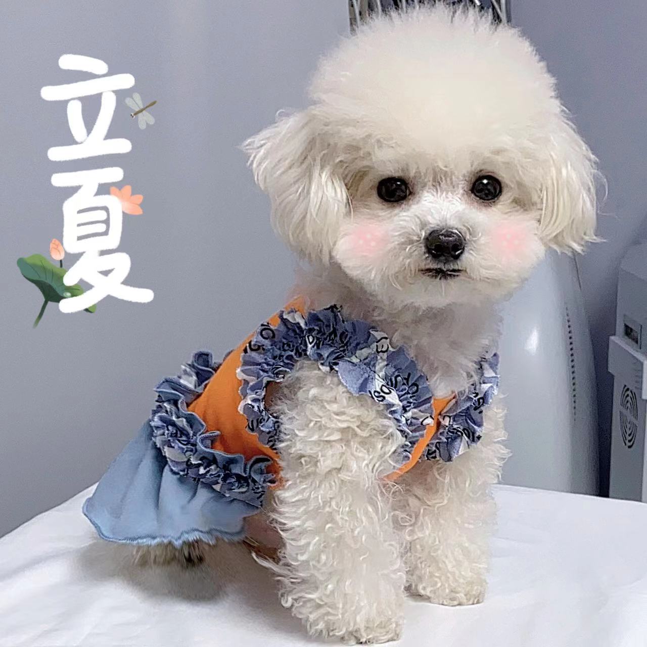 【鲜橙多多】褶皱花边棉质连衣裙猫狗通用撞色时尚宠物衣服泰迪