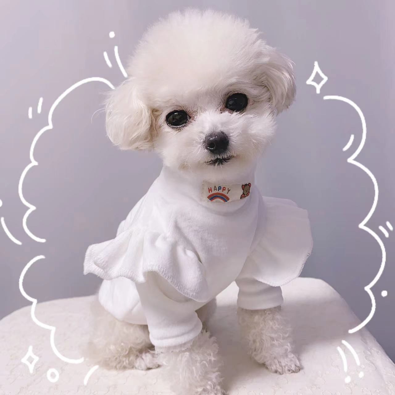 加绒冬款韩版飞袖打底衫宠物衣服比熊泰迪猫狗通用秋冬必备温暖