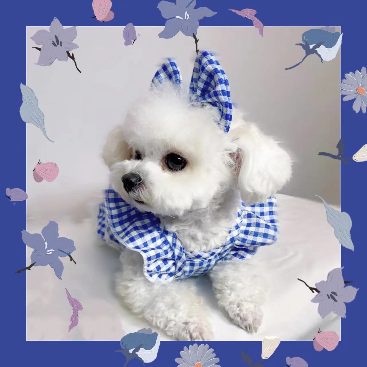 【布拉格广场】公主蛋糕裙棉质超薄猫狗通用牵引扣飞飞袖