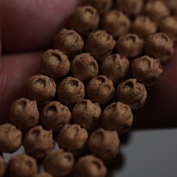 【赤目】热振柏香籽原桩白芽油皮念珠