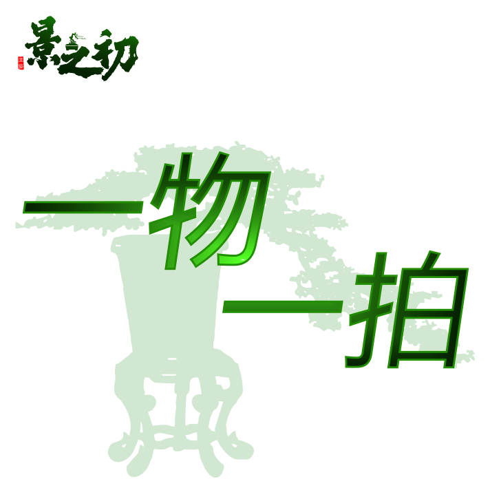 【景之初园艺】1号链接 盆景一物一拍 以直播实物为准 直播间拍/买