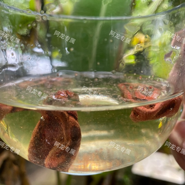 【土特产】血㚑丹净含量100g-500g